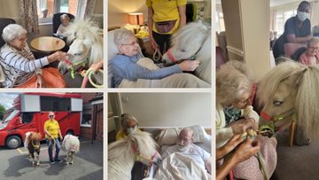 Therapy ponies visit Residents at South Yorkshire care home
